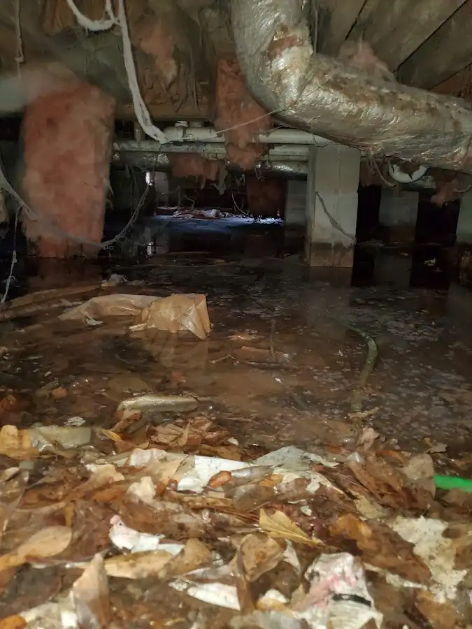 Crawl space flood assessment for Commercial Water Damage Restoration in Kaiminani
